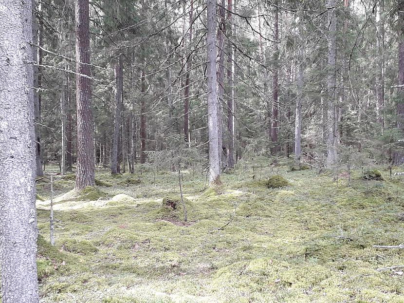  Autors: Griffith Atvaļinājums - 4. Septembris. 1/3