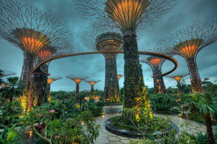 Mākslīgais parks Singapūrā Autors: Lestets Neticami, ka šīs 30 fotogrāfijas ir uzņemtas tepat uz Zemes