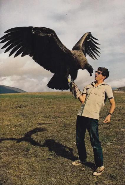 Andu kondors ir lielākais... Autors: Lestets 28 fotogrāfijas, kas ļaus mums uzzināt kaut ko jaunu