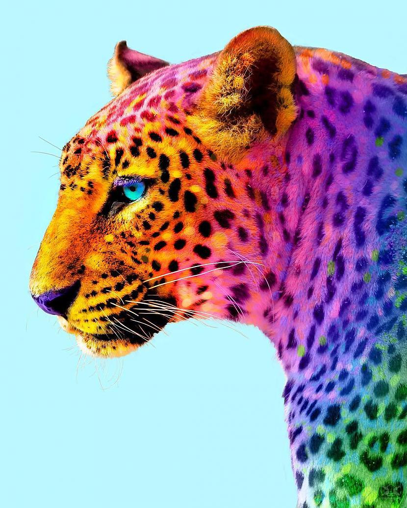  Autors: Fosilija Visu pasauli varavīksnes krāsā veidojis Ramzi Masri