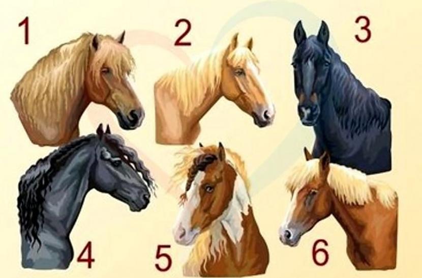 Piektais zirgsTu esi visai... Autors: Zibenzellis69 Izvēlies zirgu un uzzini vairāk par savu raksturu!