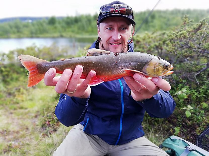  Autors: Raivo Šķuburs Video. Cope pie polārā loka (lapland) kalnu ezerā meklēju arktiskās palijas.