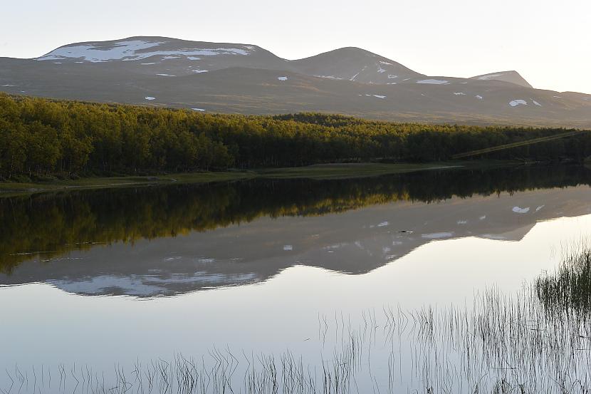  Autors: Raivo Šķuburs Video. Cope pie polārā loka (lapland) kalnu ezerā meklēju arktiskās palijas.