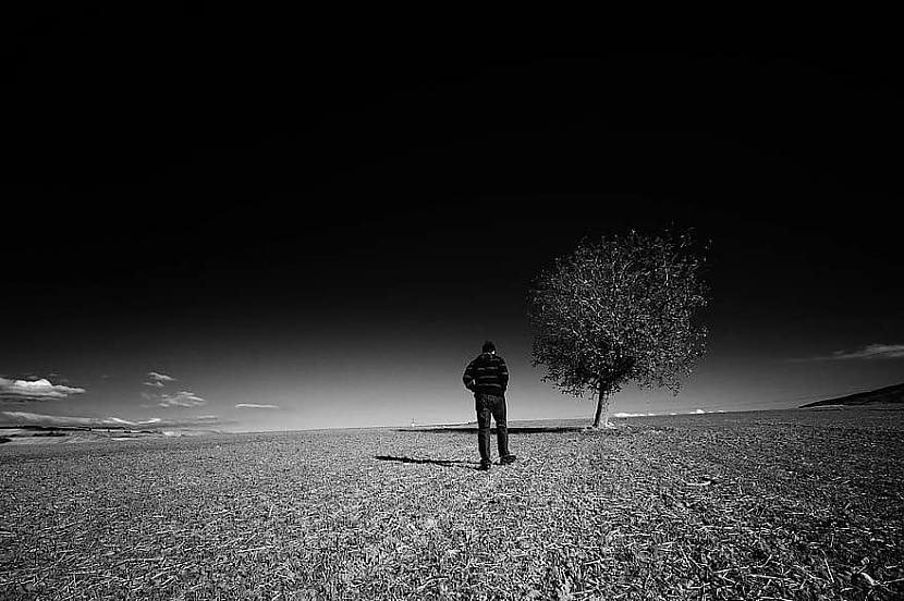 Svarīgākais novērojums ndash... Autors: Zibenzellis69 Vai ir iespējams nomirt no vientulības
