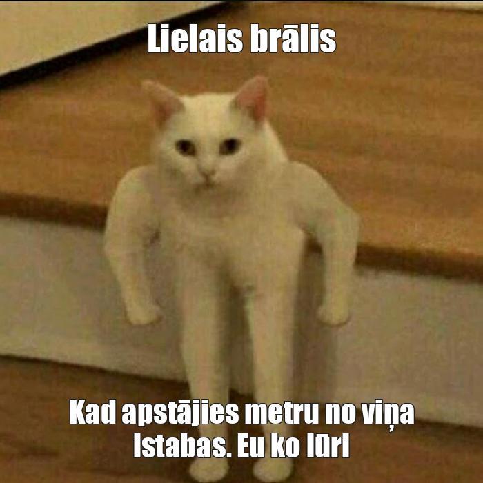  Autors: Pūkainais mērglis Memes