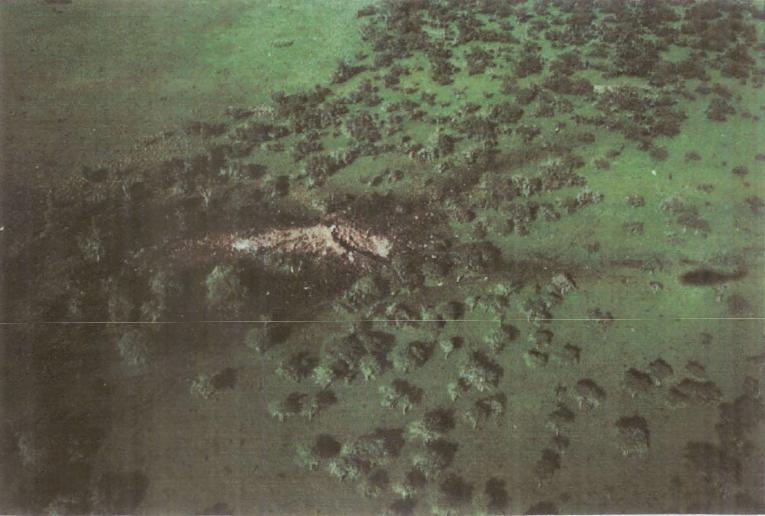 Austral Liacuteneas... Autors: Testu vecis Komerciālo lidaparātu katastrofu bildes (Deviņdesmitie) 1994.-1999.g