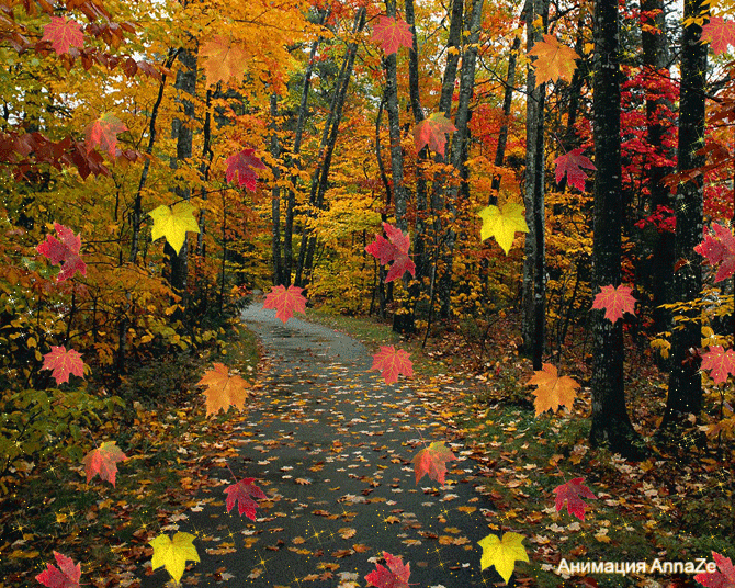  Autors: Zibenzellis69 Skaisti rudens GIF attēli (40 attēli)