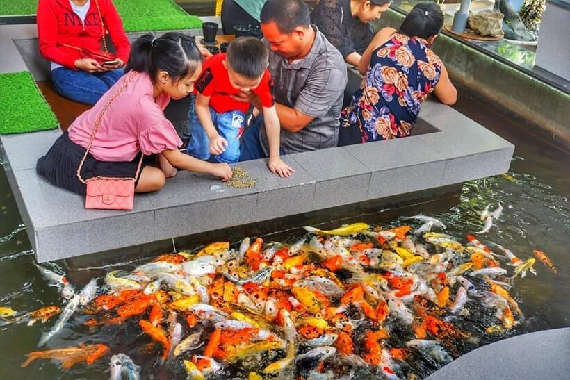 Tiek uzskatīts ka zivis palīdz... Autors: Zibenzellis69 Vjetnamā ir kafejnīca, kur var uzkost kopā ar karpu
