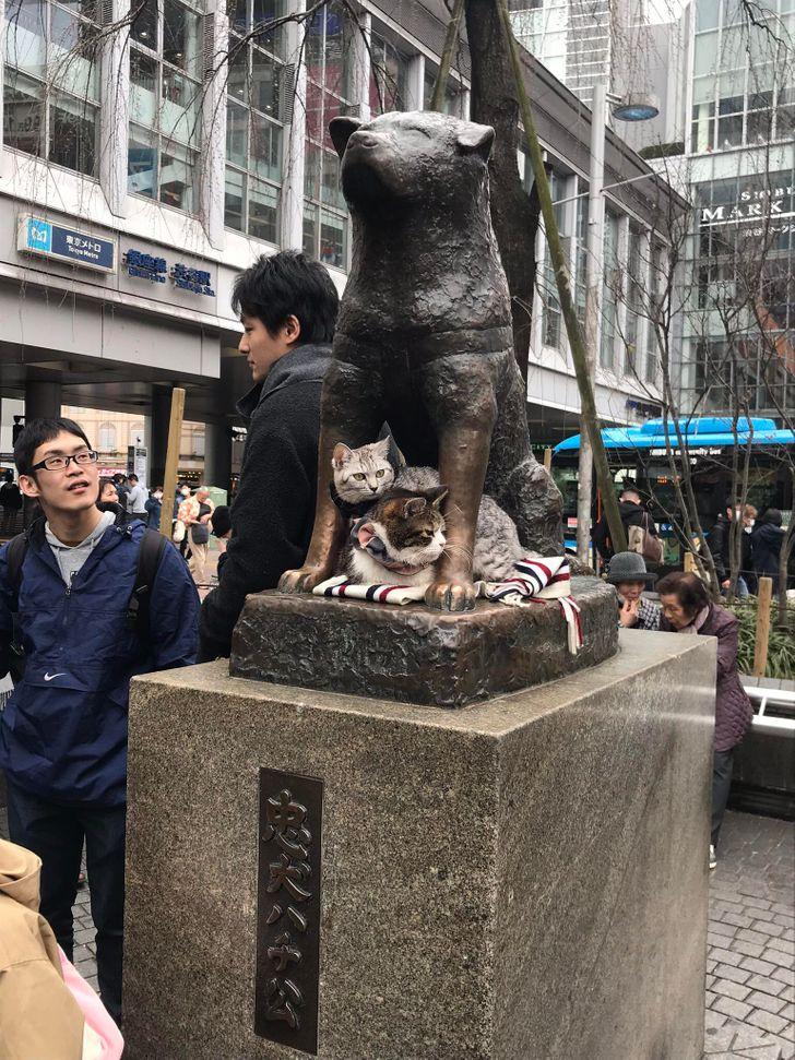 Hačiko statuja ar dažiem... Autors: The Diāna 15+ foto, kas pierāda, ka Japāna ir neparasta valsts