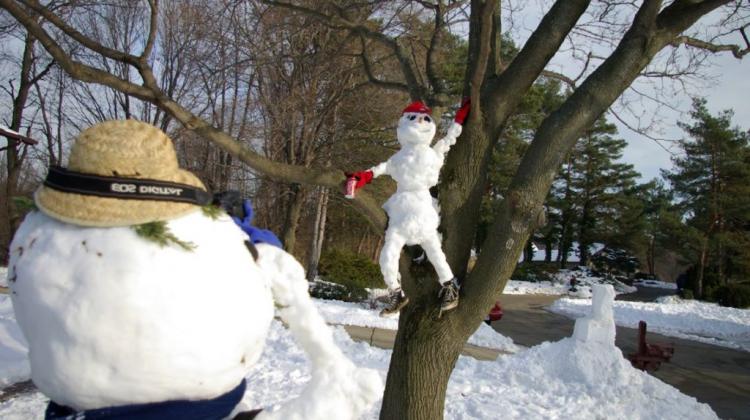 Smieklīgas un foršas 55 sniegavīru fotogrāfijas