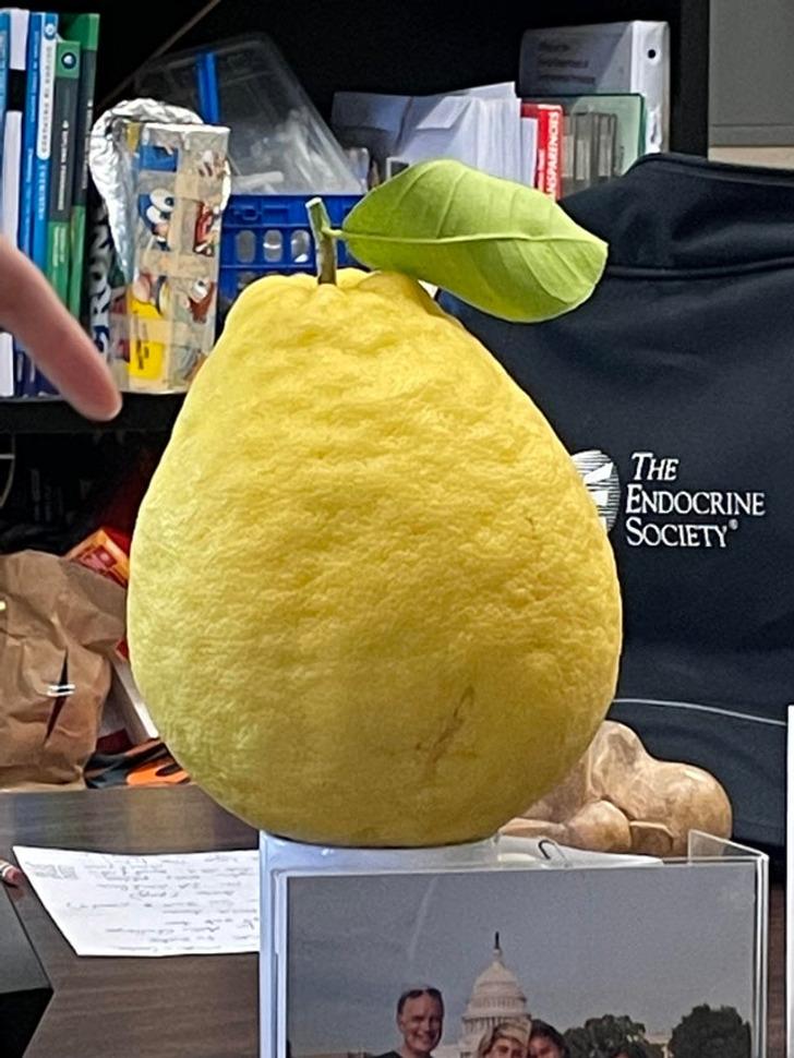 Citrons ar kuru pietiks tējām... Autors: The Diāna 19 attēli, kas apliecina, ka izmēram ir nozīme