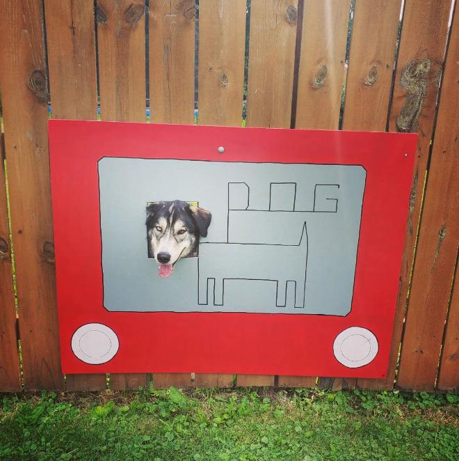  Autors: Zibenzellis69 Ģimene liek apkārtnei smieties ar radošiem žoga logiem suņiem