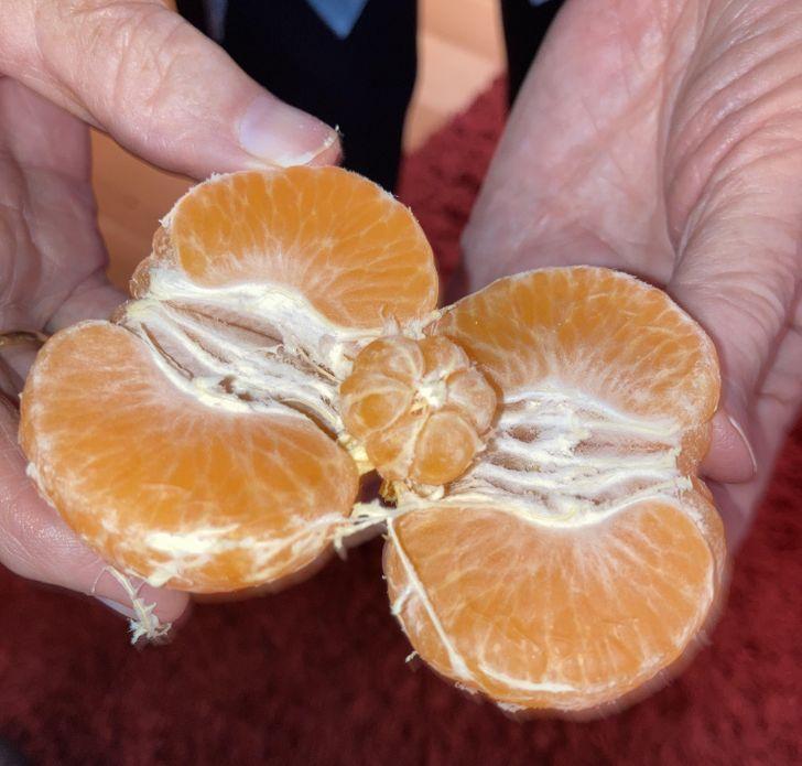 Apelsīns ar vēl mazāku... Autors: Lestets 20 reizes, kad cilvēkiem uzsmaidīja veiksme