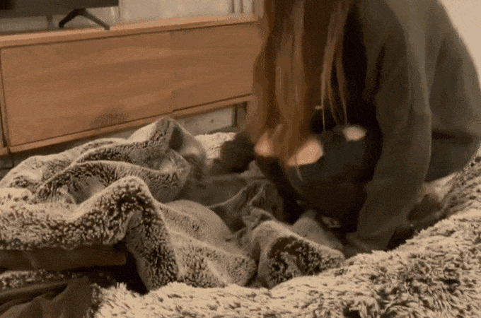  Autors: Zibenzellis69 Iepazīstinām ar Plufl — pasaulē pirmo suņu gultu cilvēkiem
