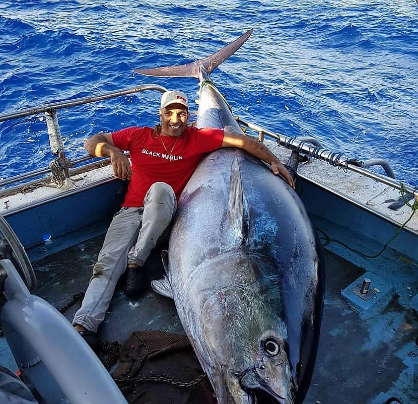 Zilās tunzivisZilā tunzivs jeb... Autors: Zibenzellis69 13 ārkārtīgi reti ēdieni, kurus tikai daži cilvēki ir redzējuši savā ēdienreizē
