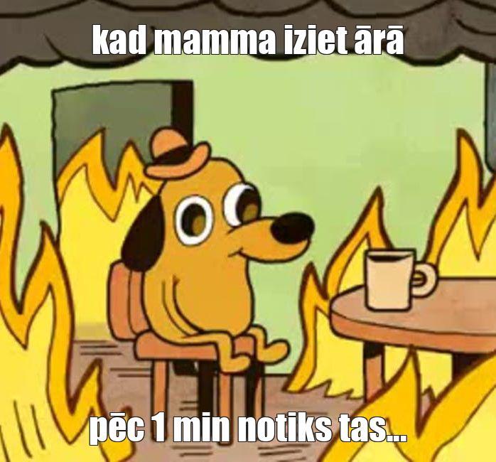  Autors: Kārlis Nils Zilveris Memes