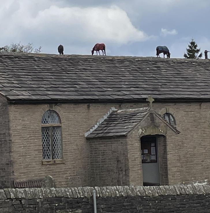 Uz vietējās baznīcas jumta... Autors: Lestets 16 attēli, uz kuriem ir jāskatās divreiz, lai saprastu, kas tajos notiek