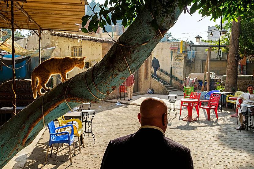 Kaira ĒģipteScaronķiet ka... Autors: Zibenzellis69 20 forši kadri no talantīga poļu ielu fotogrāfa, kas kas iemūžina reālo dzīvi