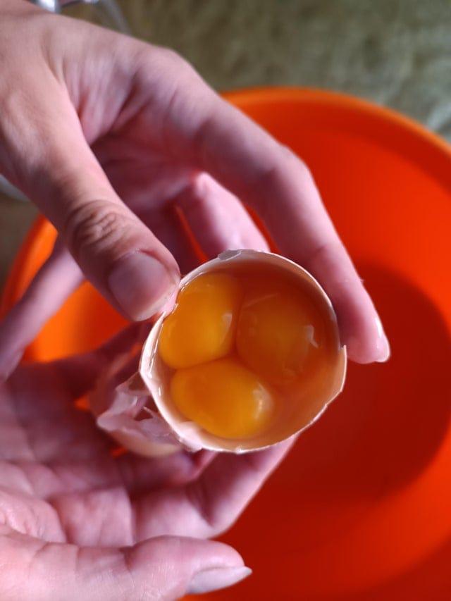Ola ar trim dzeltenumiem Autors: Zibenzellis69 Šīs fotogrāfijas pierāda, cik pārsteidzoši neparastas  var būt pat vistu olas