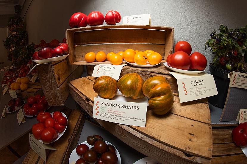  Autors: matilde FOTO ⟩ Labākie un interesantākie tomātu nosaukumi no "Tomātu parādes 2022"