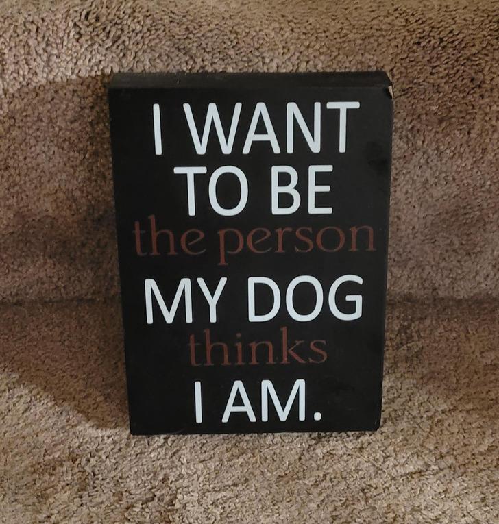 quotEs gribu būt mans suns kas... Autors: Lestets 17 briesmīga dizaina piemēri, kas rādīsies murgos