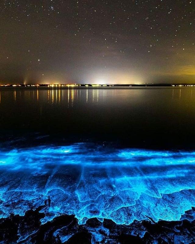 Bioluminiscence Maldivu... Autors: Zibenzellis69 15 fotoattēli ar pārsteidzošām dabas parādībām, kuras neredzēsi katru dienu
