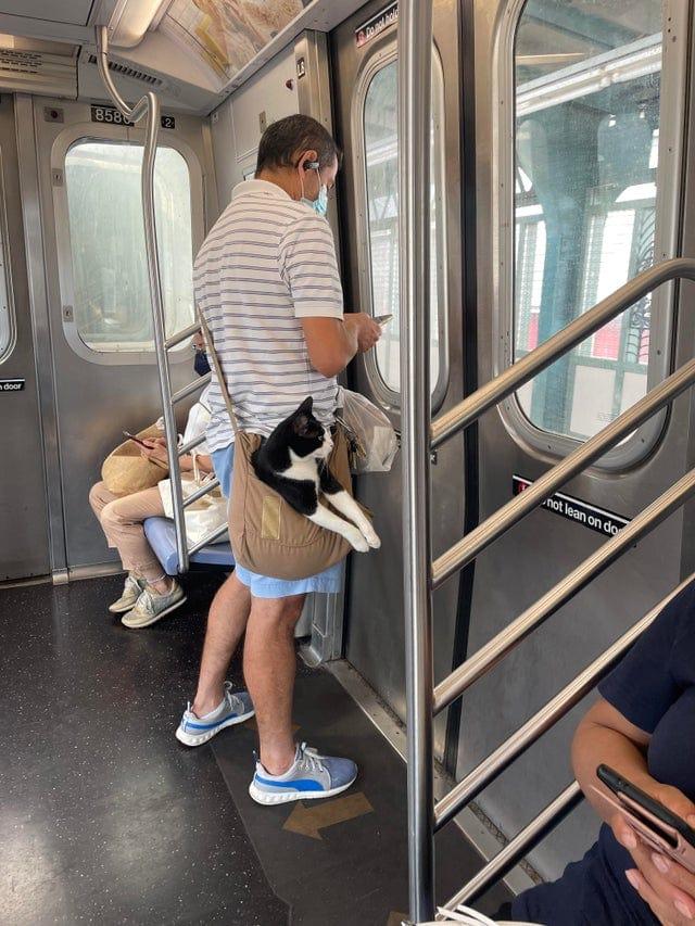 Nekas neparasts Autors: Zibenzellis69 Gadījumi, kad cilvēki metro satikās ar ļoti neparastiem un dīvainiem pasažieriem