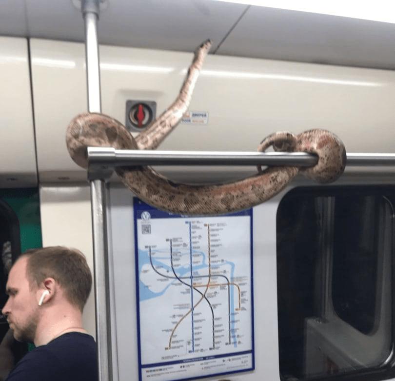 Laipni lūgti pieturēties Autors: Zibenzellis69 Gadījumi, kad cilvēki metro satikās ar ļoti neparastiem un dīvainiem pasažieriem