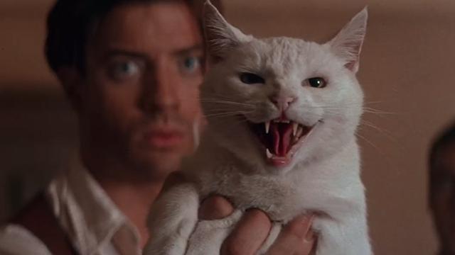 Koscaronaks no filmas... Autors: Zibenzellis69 14 spilgti ekrāna kaķi, kuri tika galā ar savu lomu filmā, kā jebkurš aktieris