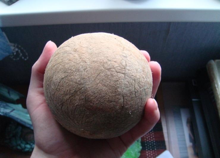 Perfekti nomizoti kokosrieksts Autors: Zibenzellis69 17 augļi, ogas un citi ēdieni, kas bez mizas izskatās ļoti atšķirīgi