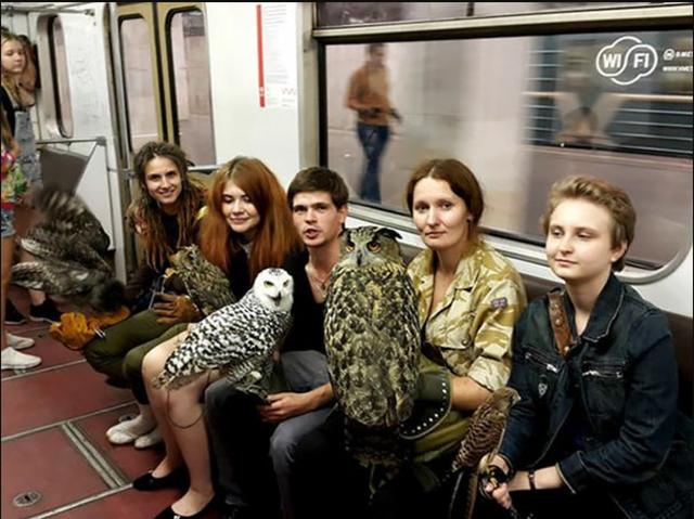 Kāpēc lidot pascaronai ja var... Autors: Zibenzellis69 Jautra galerija: Metro var satik  ļoti dīvainus un smieklīgus ceļa biedrus