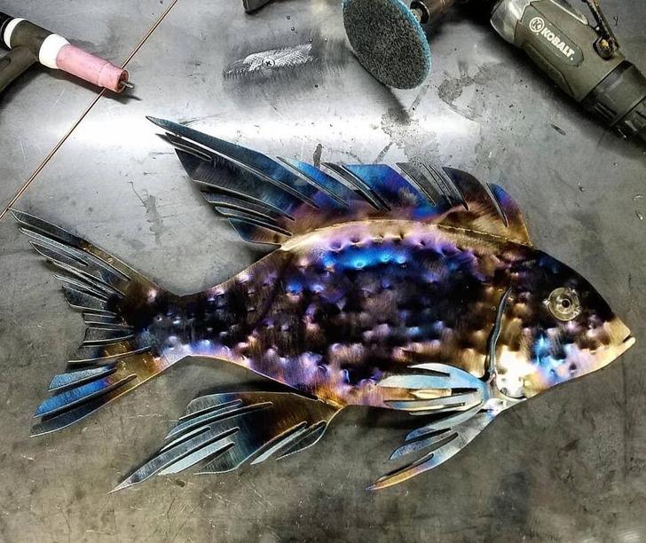 Tā ir zivs kas ir veidota no... Autors: Lestets 15 fotogrāfijas, kas mūs veiksmīgi piemuļķoja