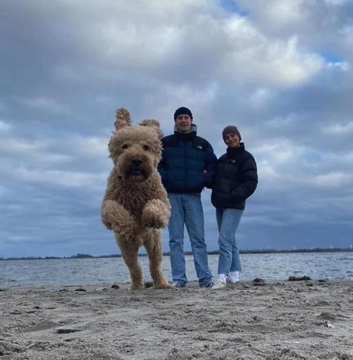 Pastaigas ar cilvēka lieluma... Autors: Lestets 20 iztēli stimulējošas fotogrāfijas, kas ir nedaudz maldinošas