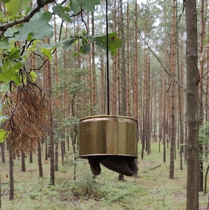 ldquoAtrasts mežā Vācijā... Autors: Lestets 15 mulsinoši objekti, kas parāda cilvēku atjautību