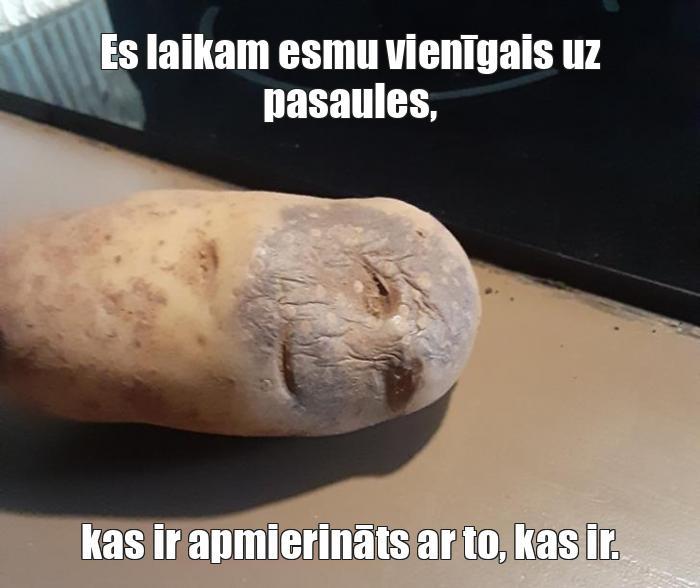  Autors: klanu kaķi Memes