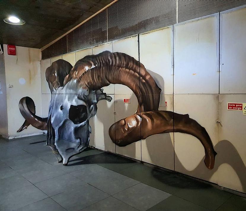 Auna galvaskauss Autors: Zibenzellis69 Portugāļu mākslinieks veido 3D grafiti, kas izskatās tik reālistiski