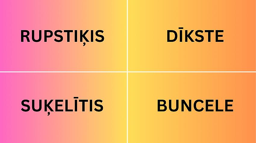 Tests: Vai tu zini, ko nozīmē šie desmit apvidvārdi?