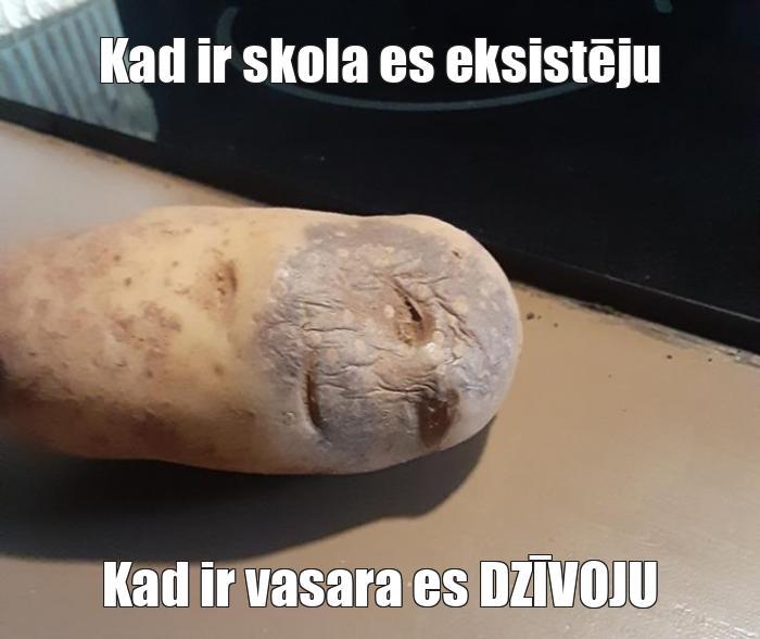  Autors: Vārpiņa Memes