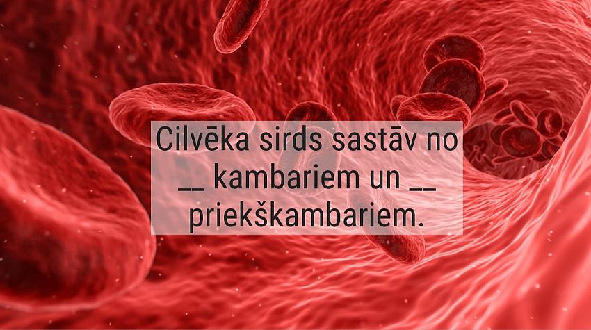 Tests: Ko tu zini par cilvēka asinsrites sistēmu?