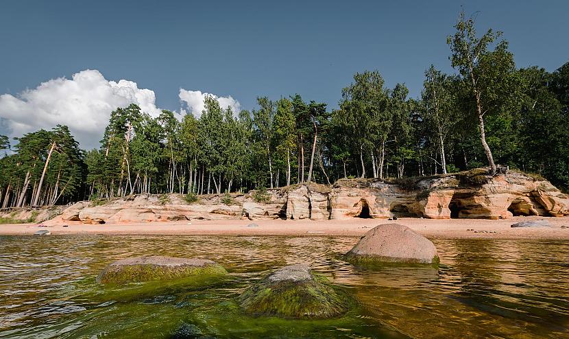 Smuki tie koki Autors: klanu kaķi 25 skaisti Latvijas dabas skati