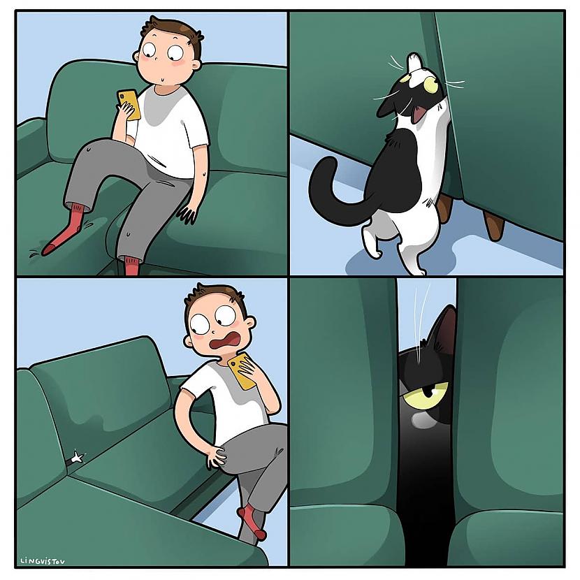 Nags mugurāBruts ir ideāls... Autors: Zibenzellis69 Vitāli, smieklīgi komiksi, kurus lieliski sapratīs ikviens, kuram mājās ir kaķis