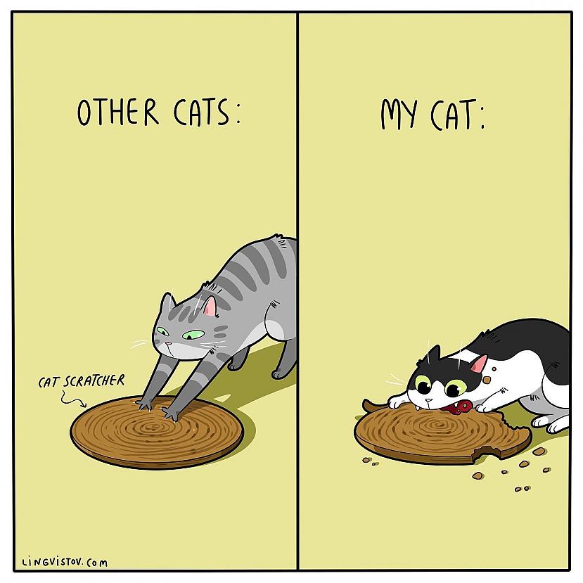 Kā citi kaķi un mans kaķis... Autors: Zibenzellis69 Vitāli, smieklīgi komiksi, kurus lieliski sapratīs ikviens, kuram mājās ir kaķis