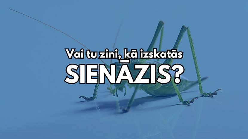 Tests: Vai tu zini, kā izskatās 10 dažādi kukaiņi? - Spoki