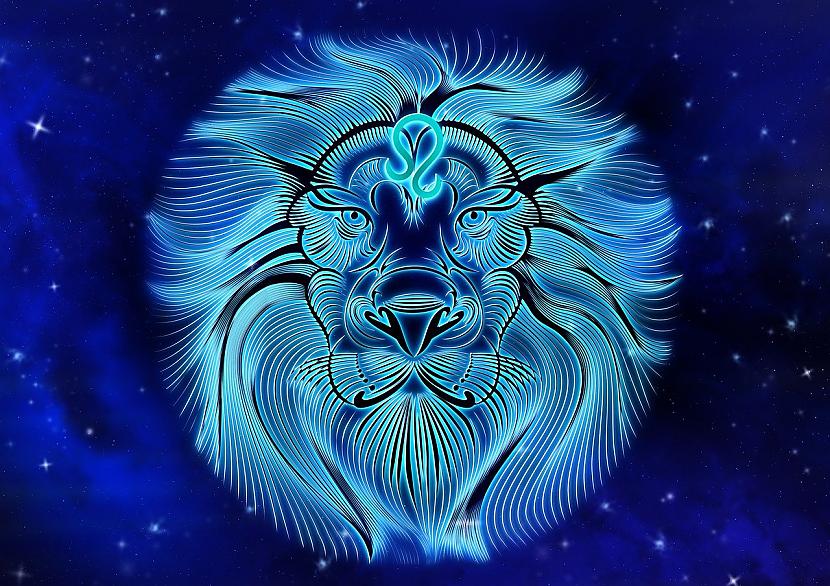 Lauva  filozofsO jā Lauvam... Autors: Lestets Lūk, kā uzvedas katra Zodiaka zīme, kad ir «jautrā prātā»