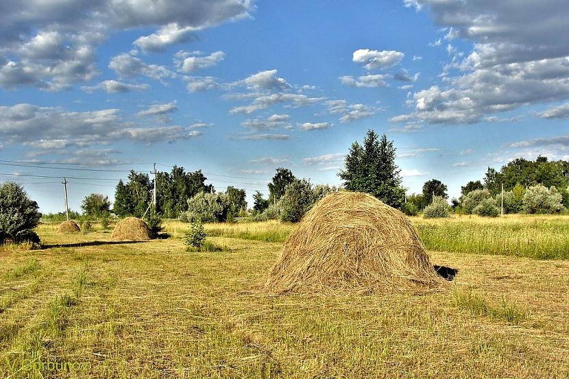 Siena gubas Autors: Zibenzellis69 Lieliski foto no lauku dzīves, kas var radīt vēlmi pārcelties uz dzīvi laukos