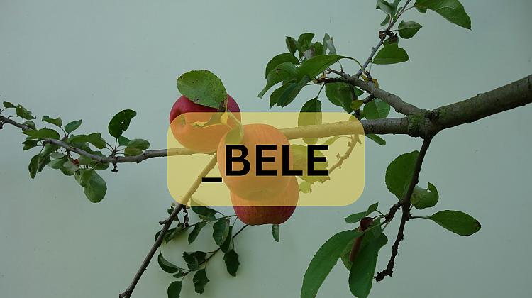 Tests: Vai vari uzminēt šos vārdus, kuri beidzas ar -BELE?