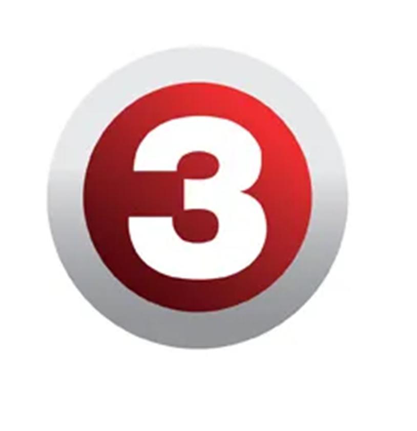 TV 3 Autors: Ezīle Latvijas televīzijas kanālu vecie logo