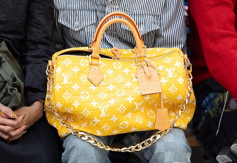 Louis Vuitton Speedy Bag ndash... Autors: Zibenzellis69 10 dārgākās somiņas pasaulē, kuru cena var likt tev izbrīnā plašāk pavērt acis