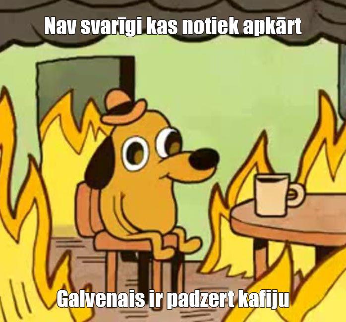  Autors: Saulrieta pērle Memes