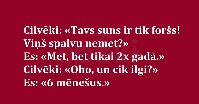  Autors: The Diāna Smejies no sirds - smieklīgu joku izlase (15 joki)